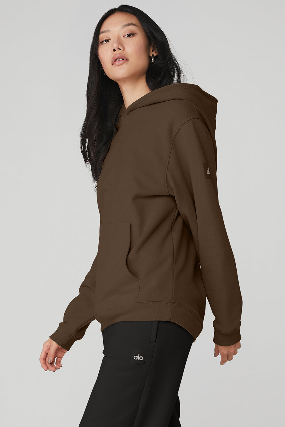 Renown Heavy Weight Hoodie - Espresso